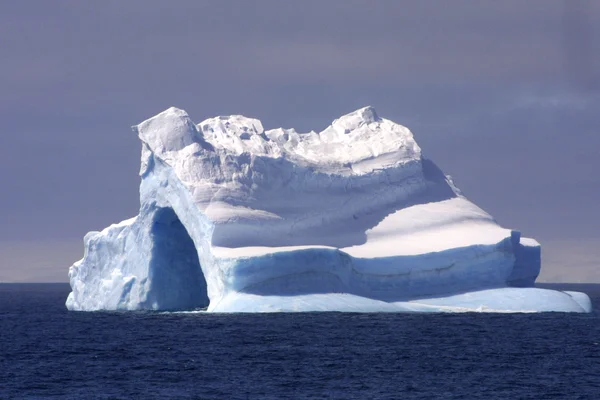 Antarctica